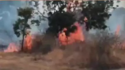 खानापूर विटा: विटा मायणी रोडवर ४०० एकर माळराणाला भीषण आग; आंब्याच्या बागा, ठिबक सिंचन व वैरणीचे मोठे नुकसान