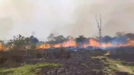 🛑सीतापुर:-गांव के बाहर जंगल में लगी आग, जली सिगरेट फेंकने से आग लगने की आशंका ।
#firenews #viral