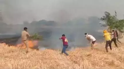 🛑रायबरेली-संदिग्ध हालत में गेहूं के खेत में लगी आग, आग की लपटें देखकर किसानों के उड़े होश।
#raibareli #news