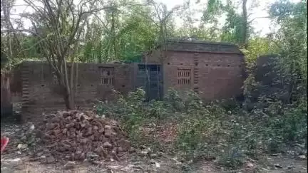 কালিয়াচক ১: বল ভেবে খেলতে গিয়ে দিলুটোলা এলাকায় বোমা বিস্ফোরণ, জখম 5 শিশু