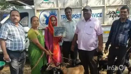 बसिया: कलिगा गाँव में मुख्यमंत्री पशुधन योजना के तहत 16 लाभार्थियों को बकरा और बकरी दी गई