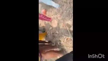 కోనారావుపేట: నిజామాబాద్  గ్రామ శివారులో గ్యాస్ సిలిండర్లతో వెళ్తున్న ఆటో, టాటా ఏస్ వాహనం ఢీ, పలువురికి తీవ్ర గాయాలు