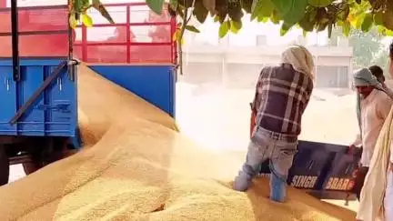 ਬਾਘਾ ਪੁਰਾਣਾ: ਹਲਕਾ ਬਾਘਾ ਪੁਰਾਣਾ ਤੋਂ ਵਿਧਾਇਕ ਅੰਮ੍ਰਿਤ ਪਾਲ ਸਿੰਘ ਸੁਖਾਨੰਦ ਨੇ ਹਲਕੇ ਦੀਆਂ ਮੰਡੀਆਂ ਦਾ ਕੀਤਾ ਦੌਰਾ ਖਰੀਦ ਪ੍ਰਬੰਧਾਂ ਦਾ ਲਿਆ ਜਾਇਜ਼ਾ