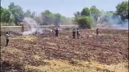 कुंवरिया: कुंवारिया के भेरू खेड़ा गांव की कृषि भूमि पर लगी आग, दमकल कर्मियों ने पाया काबू