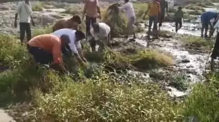 नलखेड़ा: नलखेड़ा की लखुंदर नदी में चलाया गया स्वच्छता अभियान, जल गंगा संवर्धन अभियान के तहत