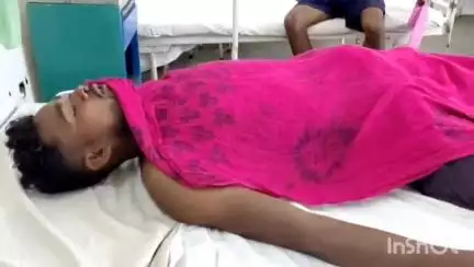 बड़ेराजपुर: पीढापाल गांव का युवक ससुराल से वापस आते समय बाइक से गिरकर हुआ घायल, फरसगांव अस्पताल में भर्ती