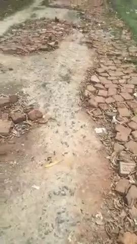 गायघाट प्रखंड बारिश के समय इस रोड से जाने में काफी कठिनाई होती है जो कि प्रखंड पदाधिकारी इसके ध्यान नहीं दे रहे हैं