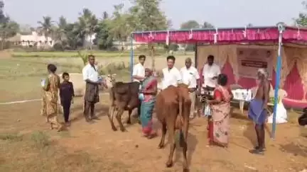 ஆலங்குடி: மணியம்பள்ளம் கிராமத்தில் கால்நடைகளுக்கான சிறப்பு மருத்துவ முகாம் நடைபெற்றது