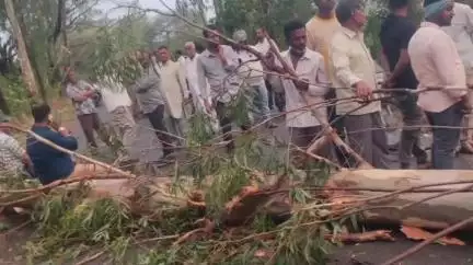 ಚಿಂಚೋಳಿ: ಬೀರನಳ್ಳಿ ಸೇರಿದಂತೆ ತಾಲೂಕಿನಲ್ಲಿ ಅಕಾಲಿಕ ಬಿರುಗಾಳಿ ಮಳೆಗೆ ಧರೆಗೆ ಉರುಳಿದ ಮರಗಳು: ರಸ್ತೆ ಪ್ರಯಾಣಿಕರ ಪರದಾಟ
