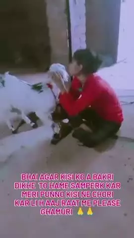 ग्राम घमौरी थाना कोच के क्षेत्र में सूरदास जी रामकुमार कुशवाहा के घर में चोरी हो गई है बकरी और साथ में  गेहूं ले गए है