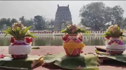 குத்தாலம்: ஏப்.4இல் கும்பாபிஷேகத்தை முன்னிட்டு வழுவூர் வீரட்டேஸ்வரர் கோவிலில் 3 யானைகளுடன் நடைபெற்ற முளைப்பாரி திருவிழா