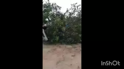 പൊന്നാനി: എടപ്പാൾ നടുവട്ടം കാലടിത്തറയിൽ കാർ നിയന്ത്രണം വിട്ട് മറിഞ്ഞ് അപകടം