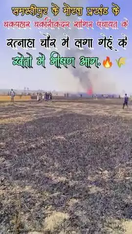 मोरवा प्रखंड के चकपाहार,चकसिकंदर,और सोंगर पंचायत के रत्नाहा चौर में गेहूं के खेतो में लगा भीषण आग.🌾🔥#viralvideo