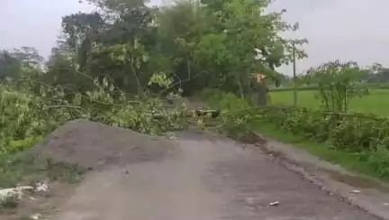 ঢকুৱাখানা ভাগ: ঢকুৱাখনাত ভয়ংকৰ ধুমুহা,বিস্তৰ ক্ষতি,এজন আহত