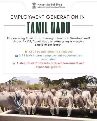 Under the #AHIDF scheme, the state has created 4,595 direct jobs and an estimated 3.78 lakh indirect employment opportunities, significantly uplifting rural livelihoods & propelling economic growth.