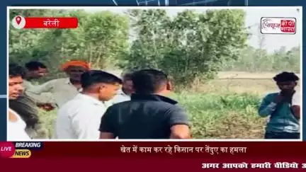 बरेली: खेत में काम कर रहे किसान पर तेंदुए का हमला, जबड़ा टूटा, हालत गंभीर
#बरेली #खेत #किसान #तेंदुए