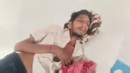 ઘોઘંબા: ઘોંઘબાના ધનેશ્વરની મુવાડી ગામે હવનનો ધુમાડો મધપૂડાને અડતા મધમાખીનો હુમલો,12 જેટલા ભાવિકોને ડંખ માર્યા