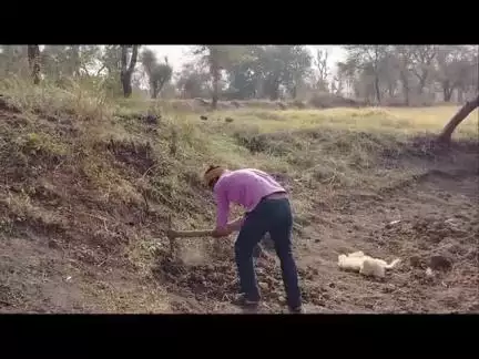 टीकमगढ़ जिले में पलायन रुकने से ग्रामीणों को अपने गांव मे ही काम मिल रहा है क्या कुछ कहा मालपीथा के मजदूरो नेआप भी सुनिए