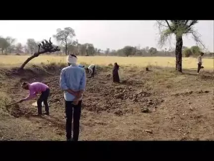 टीकमगढ़ जिले के गोर गांव में पलायन रुकने से अब अपने ही गांव मे मजदूरी करने मिल रही है क्या कुछ कहा मजदूरों व सरपंच ने ।।