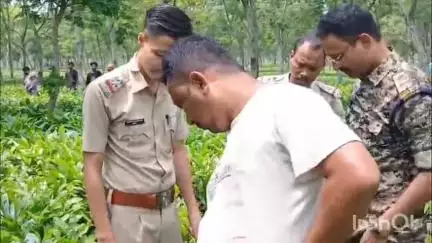 ফাঁসিদেওয়া: মতিধর চা বাগান থেকে উদ্ধার এক নীল গাই