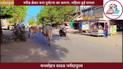 नर्मदापुरम: मालाखेड़ी का स्पीड ब्रेकर बना दुर्घटना का कारण, महिला हुई घायल
#malakhedi #narmadapuram 
#accident #news