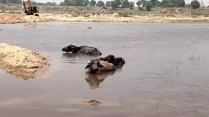 ब्यौहारी के ग्राम पंचायत रसपुर से रेत खनन बंद करने कि किसानों कि मांग जिला पंचायत सदस्य पुष्पेंद्र पटेल ने बताया