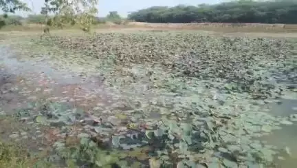 ஆவுடையார் கோவில்: அடிப்படை வசதிகள் இன்றி தவிக்கும் நல்லிக்குடி கிராமம் விடியலை நோக்கி மக்கள் 
கண்டு கொள்ளுமா மாவட்ட நிர்வாகம் #localissue
