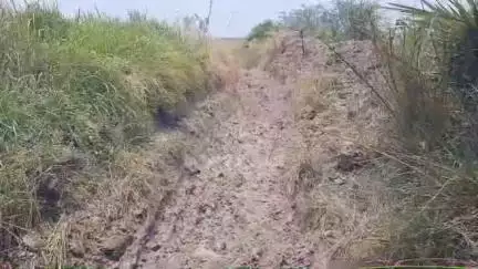 கீழ்வேளூர்: திருமணங்குடியில்  சொந்த செலவில் பாசன வாய்க்காலை தூர்வாரிய விவசாயிகள், மீதமுள்ள பகுதிகளை அரசு தூர்வார கோரிக்கை #localissue