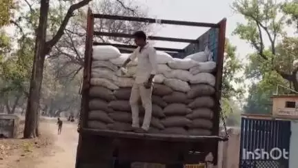 सिंघात  जंगल में पकड़ी गई पीडीएस चावल की कालाबाजारी, ट्रक और ओमनी चालक की मिलीभगत उजागर