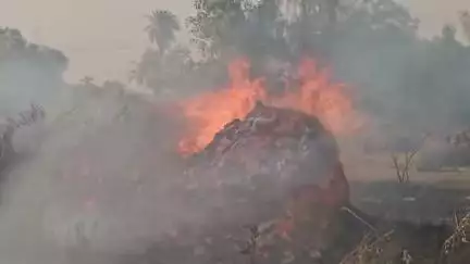 हापुड़ -अज्ञात कारणों से बीटोडो में लगी भीषण आग,  आग लगने से तीन बीटोडे जलकर खाक।
#upnews #viral
