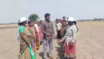 ಸಿರಗುಪ್ಪ: ರಾರಾವಿ ಗ್ರಾಮದಲ್ಲಿ ನರೇಗಾ ಮಹಿಳಾ ಕೂಲಿ ಕಾರ್ಮಿಕರಿಂದ ಕ್ರಿಕೆಟ್