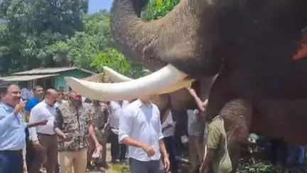 ಹುಲಿ ಸೆರೆಗೆ ಆಧುನಿಕ‌ ತಂತ್ರಜ್ಞಾನ ಬಳಸಿ ಶೀಘ್ರದಲ್ಲಿ ಕಾರ್ಯಚರಣೆ,ತೆರಾಲುವಿನಲ್ಲಿ‌ ಶಾಸಕ ಪೊನ್ನಣ್ಣ #localissue
