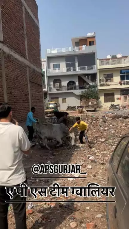 पैर में गंभीर चोट लगी थी, उसका इलाज किया गया और फिर उसे अस्पताल भेज दिया गया, अब वह ठीक है 🙏🏻


#apsgurjar #help #support #viral #gwalior #cow
