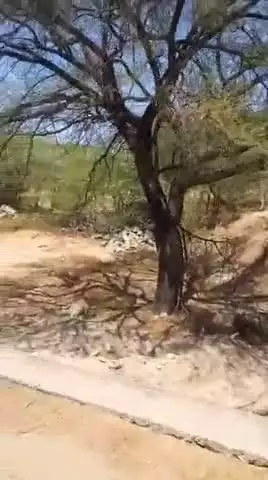 कबराड़िया मे सरकारी जमीन पर लोगों का कब्जा