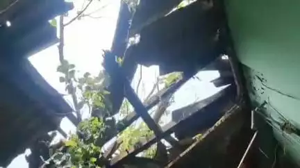 পশ্চিম নলবাৰী: নলবাৰীৰ বৰনৰ্দ্দীত ধুমুহাৰ তাণ্ডৱ,গছ উভালি আহত বৃদ্ধাসহ দুজন