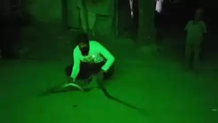 नेपानगर।के ग्राम नावथा में घोड़ा पछाड़ साफ निकलने से मचा हड़कंप। सर्फमित्र ने सुरक्षित रेस्क्यू कर छोड़ा जंगल में।
