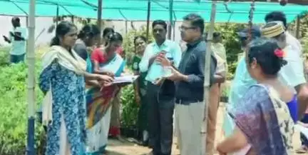பாபநாசம்: உமையாள்புரம் ஊராட்சியில் நர்சரி அமைக்கப்படுவதை கலெக்டர் நேரில் பார்வையிட்டு ஆய்வு