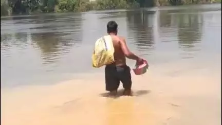 কাটোয়া ২: বৃষ্টির জন্যে নদীর বাঁধ ভেঙে বন্যা পরিস্থিতি তৈরি হওয়ায় পেকুয়া গ্ৰামে ব্যাপক ধানের ক্ষতি