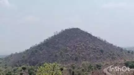 बीजापुर: गलगम और नडपल्ली की पहाड़ियों में बीते कई घंटों से पुलिस और नक्सलियों के बीच मुठभेड़ जारी, 5 नक्सलियों के शव बरामद