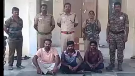 பெருந்துறை: சென்னிமலை வனப்பகுதியில் முயல் வேட்டையில் ஈடுபட்ட மூன்று பேர் கைது