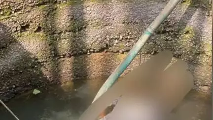 ಬೆಳ್ತಂಗಡಿ: ಬೆಳ್ತಂಗಡಿಯ ಸಂತೆಕಟ್ಟೆ ಬಳಿ ಬಾವಿಗೆ ಹಾರಿ ವ್ಯಕ್ತಿ ಆತ್ಮಹತ್ಯೆ