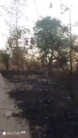 Bandhavgarh National Park me ag lagi kisi ne lagadya #@s