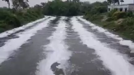 হাড়োয়া: কুলটি লকগেট হয়ে বিষাক্ত দূষিত নোংরা জল বিদ্যাধরী নদীতে মিশে ক্ষতিগ্রস্ত মাছ চাষীরা #jansamasya