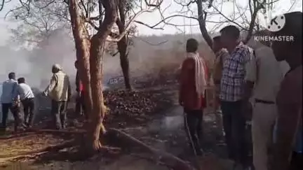 जीरन: घसुंडी चीताखेड़ा के जंगल में लगी आग, दमकल की गाड़ियां मौके पर पहुंचीं