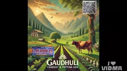कामधेनु के चरणों की धूल और गोबर से निर्मित खाद स्वर्ग के समान सुन्दर बना देगी आपका घर
