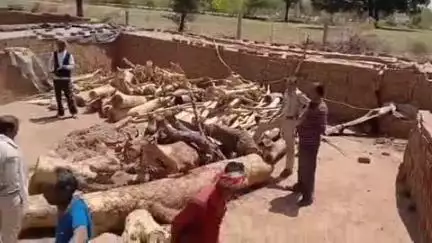 शमशाबाद:-वन विभाग की बड़ी कार्रवाई अवैध ईंट भट्टों पर की छापामारी