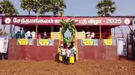 சேந்தமங்கலம்: பச்சுடையான்பட்டியில் சேந்தமங்கலம் ஜல்லிக்கட்டு விழா குழு சார்பில் ஜல்லிக்கட்டு போட்டி தொடங்கி நடைபெற்று வருகிறது