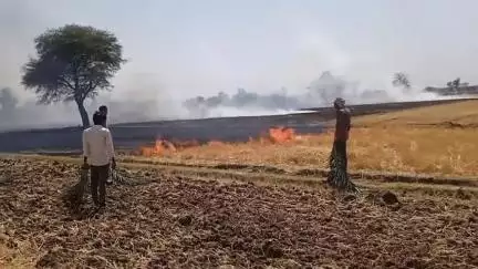 परखेरा भाट के सरसई में लगी आग पीसी की नॉर्वे में और भूसा में भी लगी आग लोगों ने बुझने की बहुत कोशिश की लेकिन नाकाम रहे
