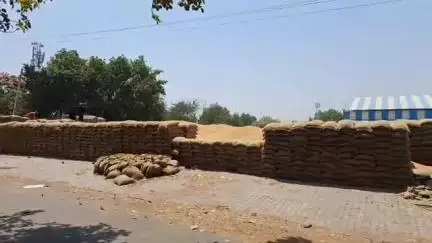 रोहतक: रोहतक अनाज मंडी में नही हुआ गेंहू का उठान,तो किसानों को नही मिला फसल का पैसा,कहा बच्चों की फीस कैसे भरे #समस्या