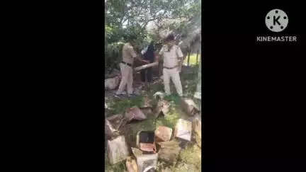ইন্দাস: পুলিশের পক্ষ থেকে ইন্দাস থানা এলাকার ত্রিশালন ও পাটরাই গ্রাম এলাকায় চোলাই মোদের বিরুদ্ধে একটি অভিযান চালানো হয়